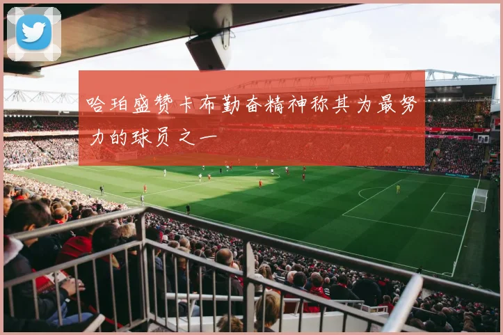 哈珀盛赞卡布勤奋精神称其为最努力的球员之一